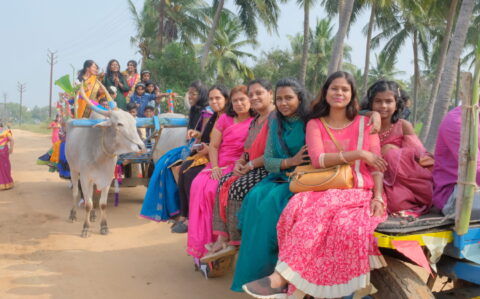 Bullock Cart Ride during Pongal Celebration at RISHS International CBSE School Arcot