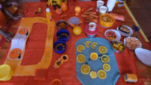 Displaying Orange Things at Orange Day at RISHS International CBSE School Arcot
