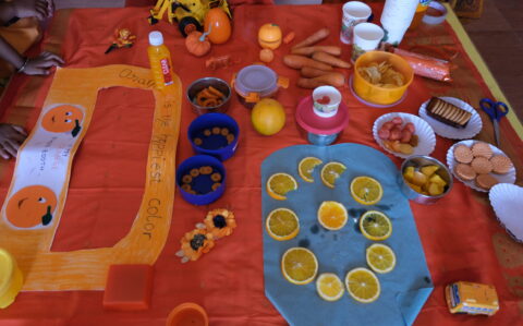 Displaying Orange Things at Orange Day at RISHS International CBSE School Arcot