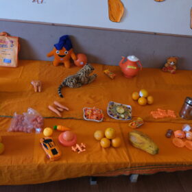 Orange colour Themed Things in Orange Day at RISHS International CBSE School Arcot